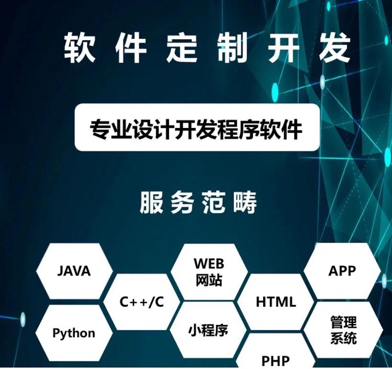 查询软件定制：为何企业需要它？